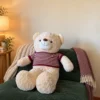 Oso chompa a rayas