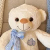 Oso lazo love celeste